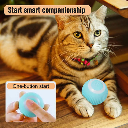 🐾 Pelota Interactiva para Gatos
