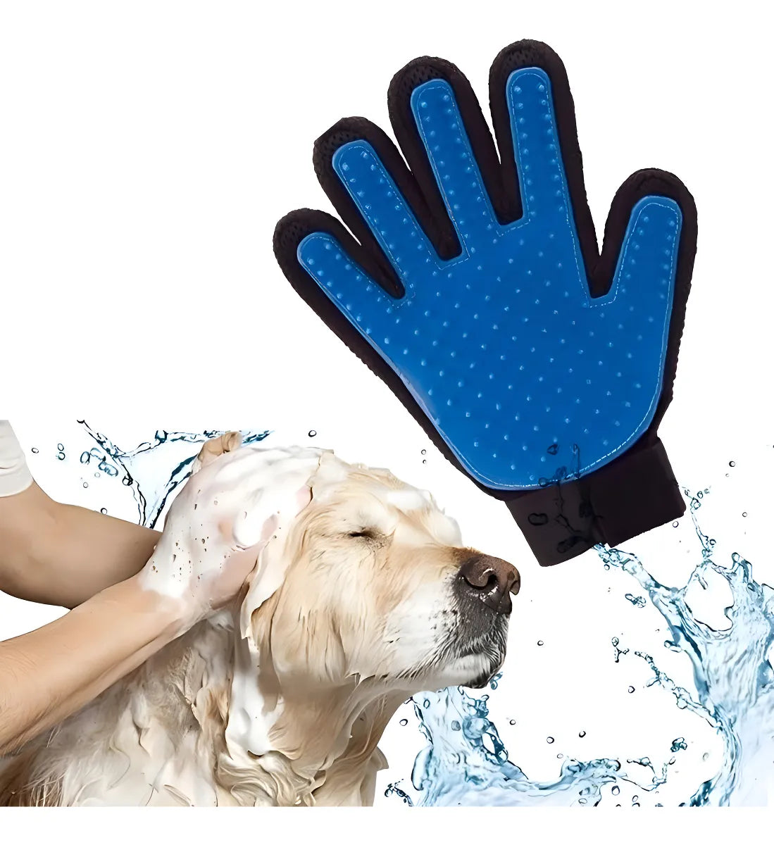 Combo Guante y Collar De Perro