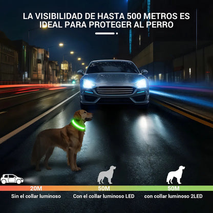 Combo Guante y Collar De Perro