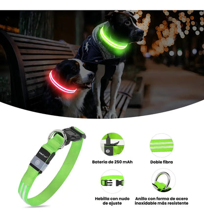 Combo Guante y Collar De Perro